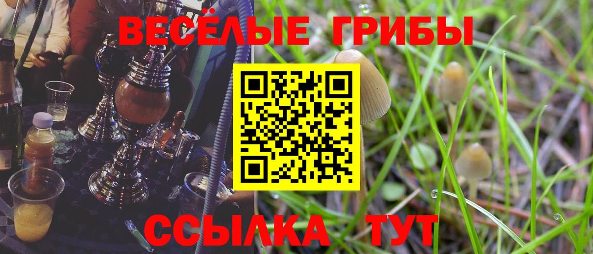 Псилоцибиновые грибы прущие грибы  Галлюциногенные грибы Psilocybine cubensis  Вход с VPN  Калач-на-Дону 