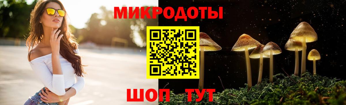 Галлюциногенные грибы прущие грибы Калач-на-Дону