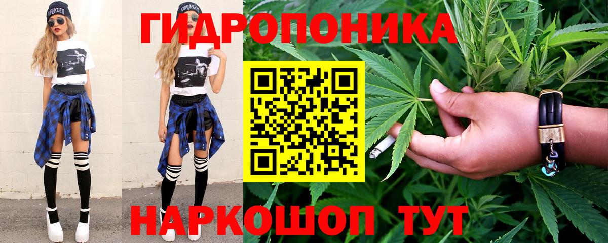 Бошки марихуана семена Калач-на-Дону